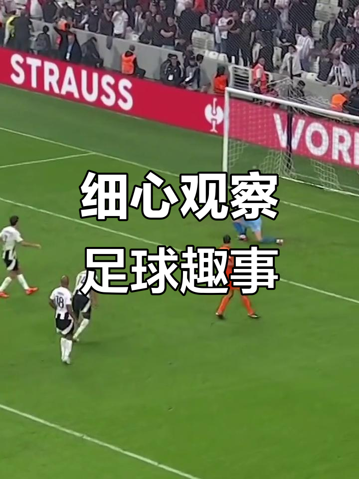 足球赛场上的精彩瞬间让人难忘