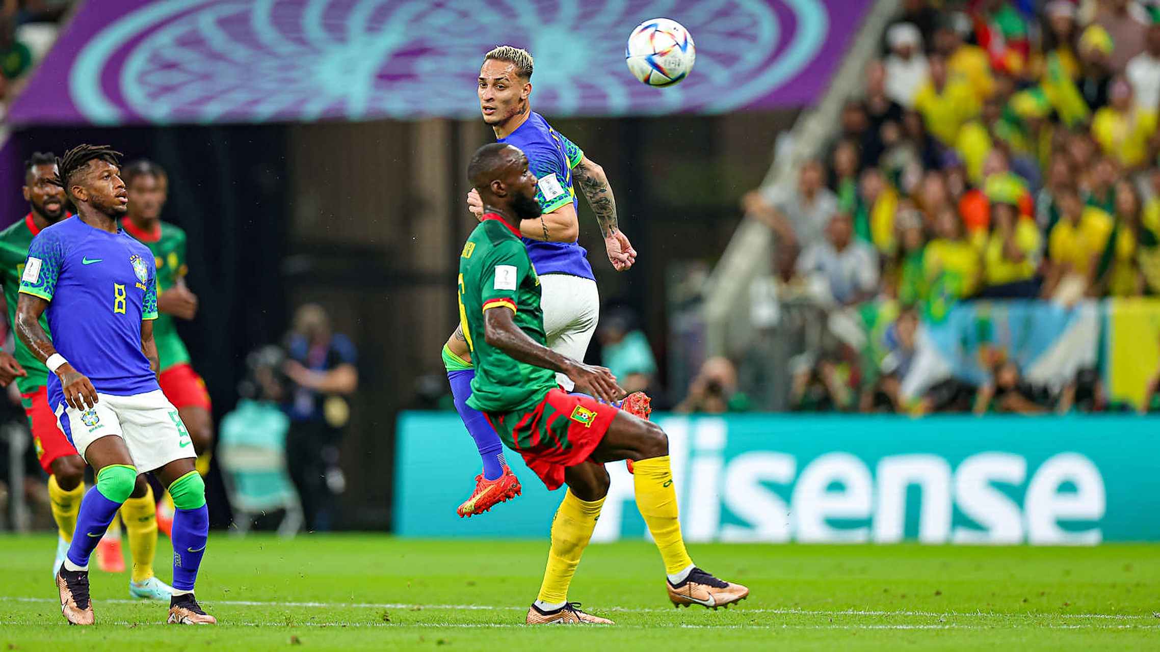 关于巴西选手实力不俗,力争不败的信息 关于巴西选手实力不俗,力争不败的信息