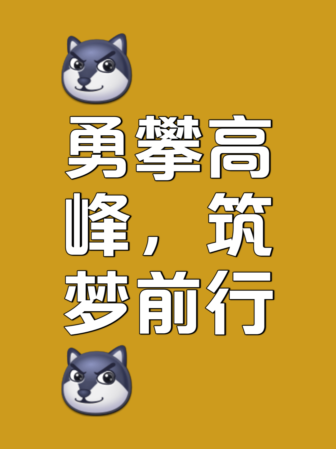 人队员实力足以傲视群雄,勇往直前的简单介绍 人队员实力足以傲视群雄,勇往直前的简单介绍